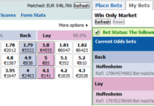 Hoffenheim vs Hannover: Sports Trading Pregame hoffenheim-profit-pre-trading