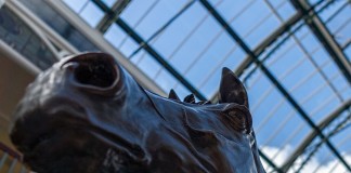 Trend-Busting Many Clouds Storms To National Glory The great Red Rum