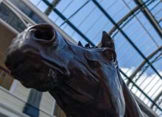 Trend-Busting Many Clouds Storms To National Glory The great Red Rum