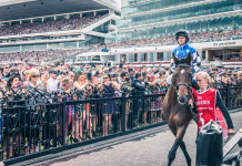Betting Smart: The Do’s and Don’ts horse-racing-melbourne-cup