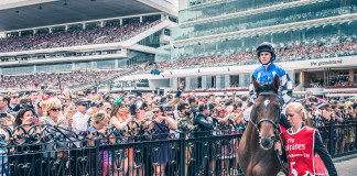 Betting Smart: The Do’s and Don’ts horse-racing-melbourne-cup