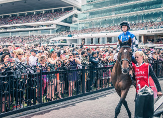 Betting Smart: The Do’s and Don’ts horse-racing-melbourne-cup