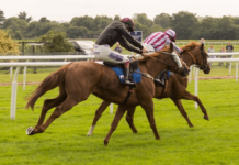 Fascinating Facts about the Cheltenham Festival fascinating-facts-cheltenham-festival
