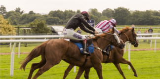 Fascinating Facts about the Cheltenham Festival fascinating-facts-cheltenham-festival