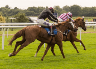 Fascinating Facts about the Cheltenham Festival fascinating-facts-cheltenham-festival