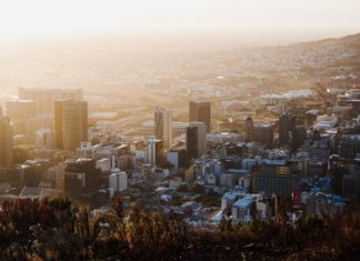 Top 5 activities to do in South Africa top-5-activities-to-do-in-south-africa