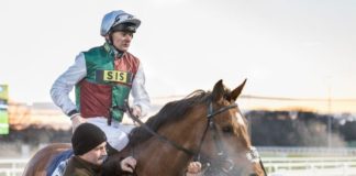 Big things expected of this son of Frankel as he targets glory in the Sussex Stakes jess-samy