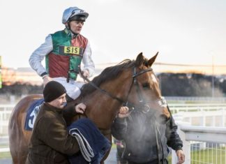 Big things expected of this son of Frankel as he targets glory in the Sussex Stakes jess-samy