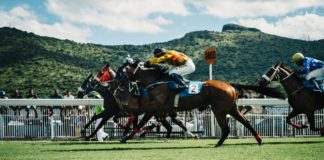 Hand-picking a horse racing NAP hand-picking-horse-racing-nap