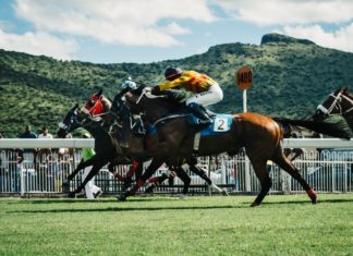 Hand-picking a horse racing NAP hand-picking-horse-racing-nap