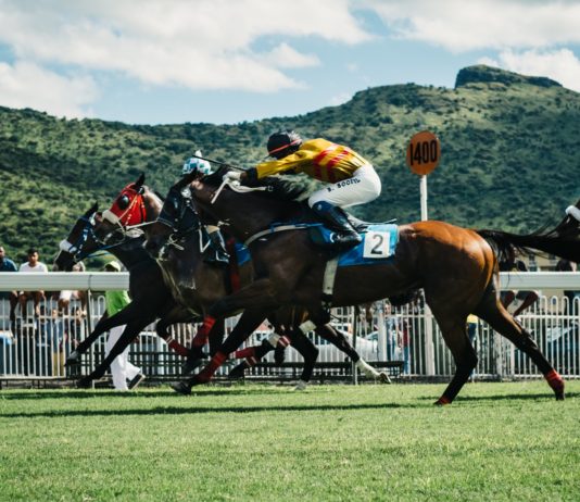 Hand-picking a horse racing NAP hand-picking-horse-racing-nap