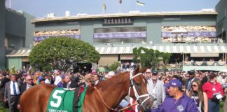 Breeders cup Handicapping Made Simple: JUVENILE TURF RACES breeders-cup-handicapping-made-simple-juvenile-turf-races