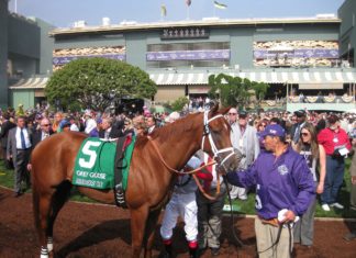 Breeders cup Handicapping Made Simple: JUVENILE TURF RACES breeders-cup-handicapping-made-simple-juvenile-turf-races