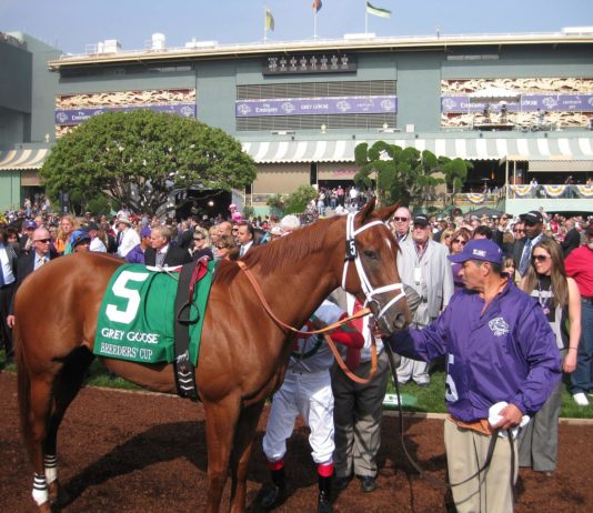 Breeders cup Handicapping Made Simple: JUVENILE TURF RACES breeders-cup-handicapping-made-simple-juvenile-turf-races