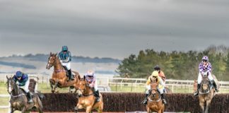 Horse Racing Odds Horse Racing Odds