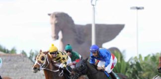 Pegasus World Cup set to hail new champions pegasus-world-cup-new-champions