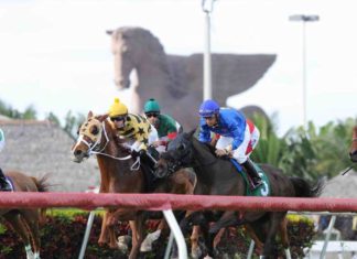Pegasus World Cup set to hail new champions pegasus-world-cup-new-champions