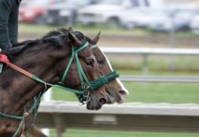 Top Grand National Betting Odds top-grand-national-betting-odds