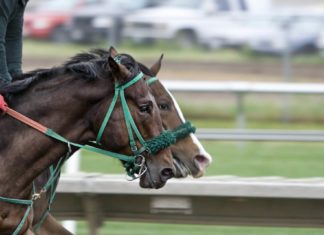 Top Grand National Betting Odds top-grand-national-betting-odds