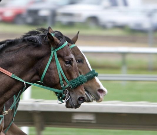 Top Grand National Betting Odds top-grand-national-betting-odds