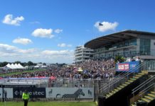 Can Sir Dragonet Emerge as the Next Ballydoyle Superstar? sir-dragonet-emerge-next-ballydoyle-superstar