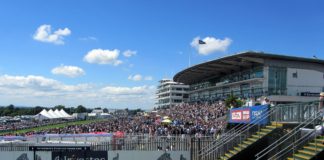 Can Sir Dragonet Emerge as the Next Ballydoyle Superstar? sir-dragonet-emerge-next-ballydoyle-superstar