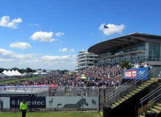 Can Sir Dragonet Emerge as the Next Ballydoyle Superstar? sir-dragonet-emerge-next-ballydoyle-superstar