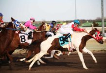 What are the best horse racing events to attend? best-horse-racing-events-to-attend