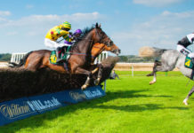 Cheltenham 2020: Pinpointing the Maximum Betting Value horse-racing-jumping-cheltenham