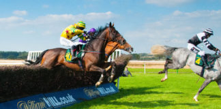 Cheltenham 2020: Pinpointing the Maximum Betting Value horse-racing-jumping-cheltenham