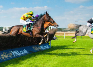 Cheltenham 2020: Pinpointing the Maximum Betting Value horse-racing-jumping-cheltenham