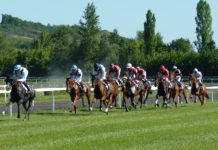 Let’s Get Acquainted With The Last 4 Pegasus Cup Champions last-4-pegasus-cup-champions